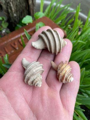  Whelk : Un Gastropode Qui Dévoile Son Mystère En Se Nourrissant De Plantes Marines Et En Construisant Des Coquilles Élaborées !